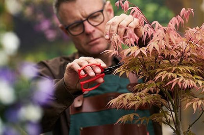 Felco 420 Trimming Scissors – 6.1" Garden Clippers with Fine Tip & Non-Stick Blade | Pruning Shears for Gardening | Garden Scissors for Plant with Stainless Steel Blade, Built-In Ruler