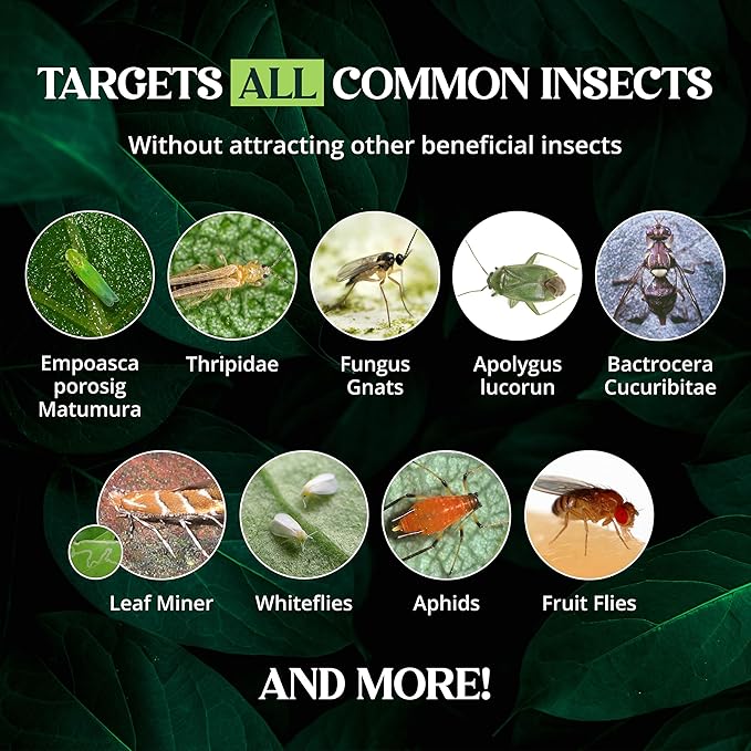 Catchmaster GRO Yellow Regular Double Sided Sticky Traps 72PK, Adhesive Bug & Fruit Fly Trap, Pest Control for Home, Farm, Garden, Hydroponics & Greenhouse, Protect Live Plants Indoor & Outdoor