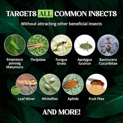 Catchmaster GRO Yellow Regular Double Sided Sticky Traps 72PK, Adhesive Bug & Fruit Fly Trap, Pest Control for Home, Farm, Garden, Hydroponics & Greenhouse, Protect Live Plants Indoor & Outdoor