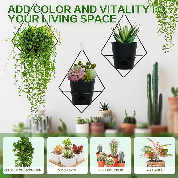 3 Sets Wall Planters for Indoor Plants Geometric Hanging Planters for Indoor Plants - Self-Watering Flower Pots with Black Metal Holder, Mounted Succulent Planter, 5" Black Plant Pot