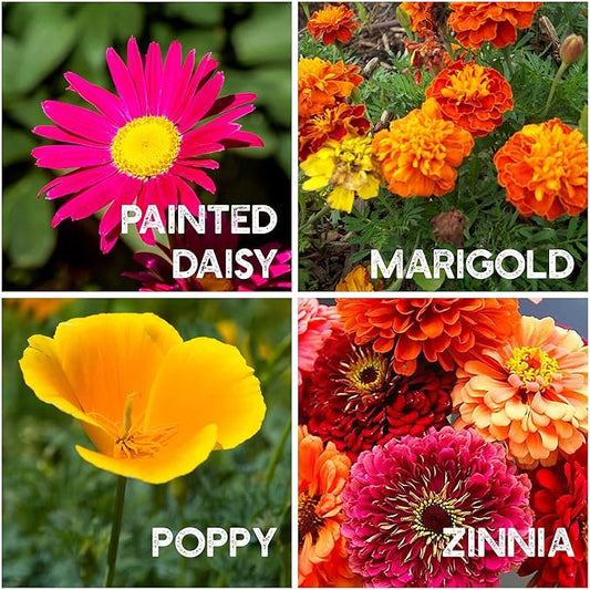 Flower Garden Seed Collection - 12 Varieties of Flower Seeds for Planting, ~6,000 Seeds - Includes Zinnia, Marigold, Poppy, Cosmos, Sunflower, Painted Daisy, Nasturtium, Lavender, Calendula & More