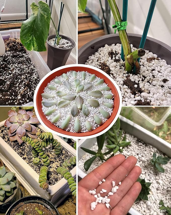 50 QT Professional Grade Horticultural Organic Vermiculite and Perlite (Perlite, 50 QT)