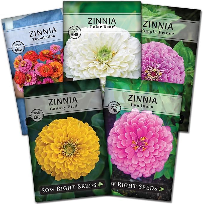 Sow Right Seeds - Classic Zinnia Flower Seeds Collection - Five Packets with Full Instructions for Planting - Luminosa, Canary Bird, Purple Prince, Polar Bear, and Thumbelina - Colorful Annual Blooms