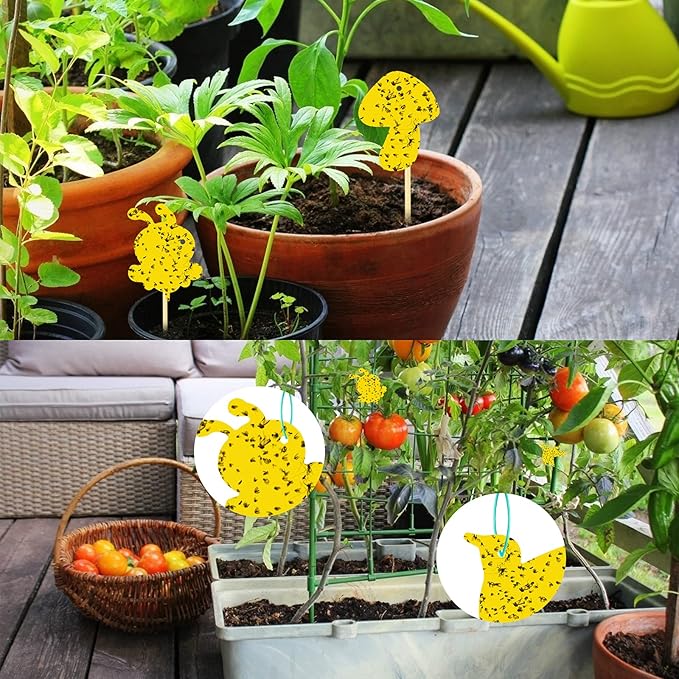 96 Pack Yellow Fungus Gnat Sticky Traps, Gnat Traps for House Indoor Gnats Killer, House Plant Gnats Bugs Sticky Killer Fruit Fly Traps for Indoor