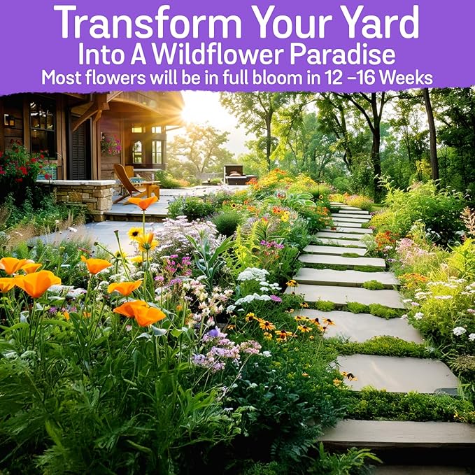 NatureZ Edge Wildflower Seeds Mix – 2 Oz, 85,000 Seeds, 35 Variety Perennial & Annual Flower Seeds to Plant Outside, Bulk Wildflower Seeds, Wild Flower, Semillas de Flores