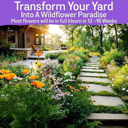 NatureZ Edge Wildflower Seeds Mix – 2 Oz, 85,000 Seeds, 35 Variety Perennial & Annual Flower Seeds to Plant Outside, Bulk Wildflower Seeds, Wild Flower, Semillas de Flores