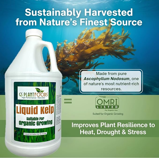 GS Plant Foods Liquid Kelp Fertilizer – Suitable for Organic Growing, OMRI Listed Seaweed Concentrate for Lawns, Gardens & Soil - 1 Gallon (Makes Up To 800+ Gallons)