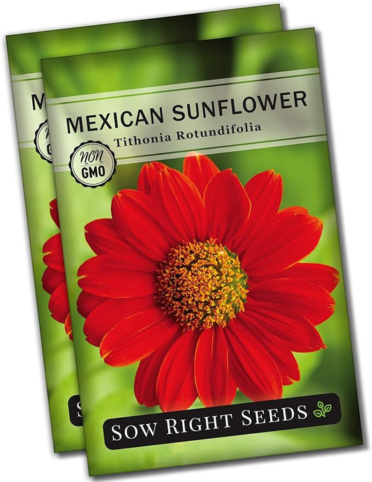 Sow Right Seeds - Mexican Sunflower Seeds for Planting - Non-GMO Heirloom Packet with Instructions for Growing - Bright Orange Blooms, Super Tall Stalks - Enjoys Outdoors or Indoors as Cut Flower (2)