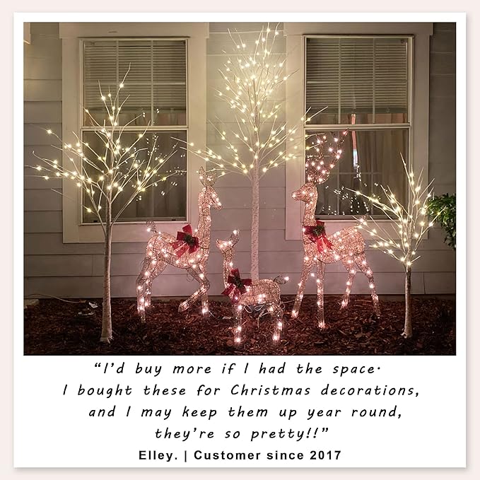 2 Pack 8FT Lighted Birch Tree 132 LED Artificial Tree for Decoration Inside and Outside, Home Patio Wedding Festival Christmas Decor, Warm White