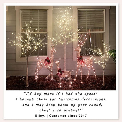 2 Pack 8FT Lighted Birch Tree 132 LED Artificial Tree for Decoration Inside and Outside, Home Patio Wedding Festival Christmas Decor, Warm White