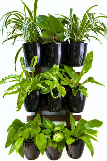 LaLaGreen Wall Planters for Indoor Plants - 10 Pack, 4 Inch Black Self Watering Pots Modern Indoor Hydroponic Vertical Live Garden Wall Mounted Hanging Plant Holder