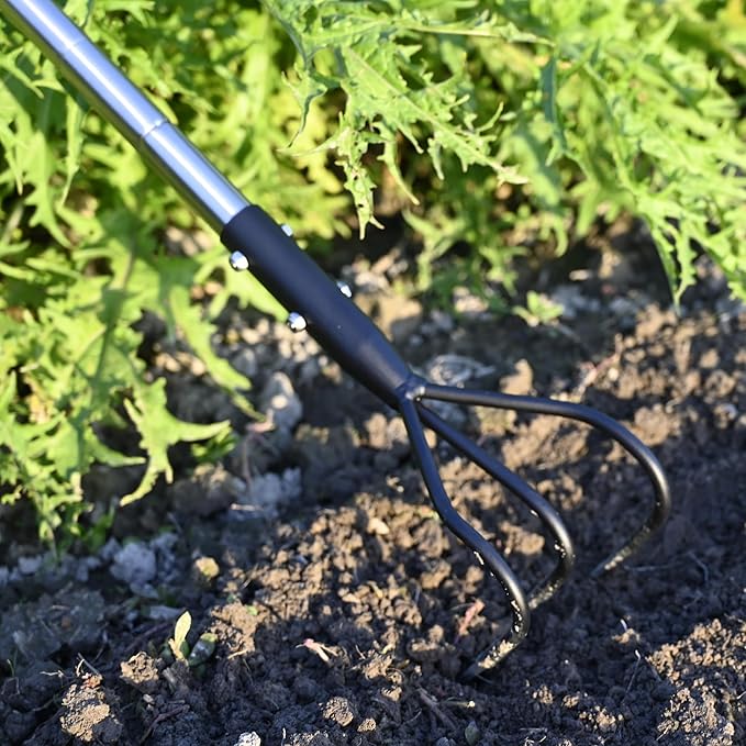 3-Tine Long Handle Tiller, Garden Cultivator with 55"-15.5" Adjustable Handle, for Loosening Soil, Tilling, Weeding and Fertilizing, Suitable for Elderly and Women