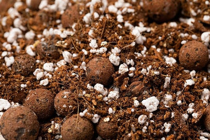 rePotme Succulent Soil - Jade Plant Succulent Potting Soil Mix - Imperial Blend (Mini Bag) - Hand Blended in The USA