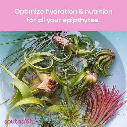 Air Plant Fertilizing Concentrated Soak by Southside Plants - Fertilizer Mist for Houseplants, Weekly Plant Food - Gentle Mist Formula for Miracle Feed & Grow - 1 oz