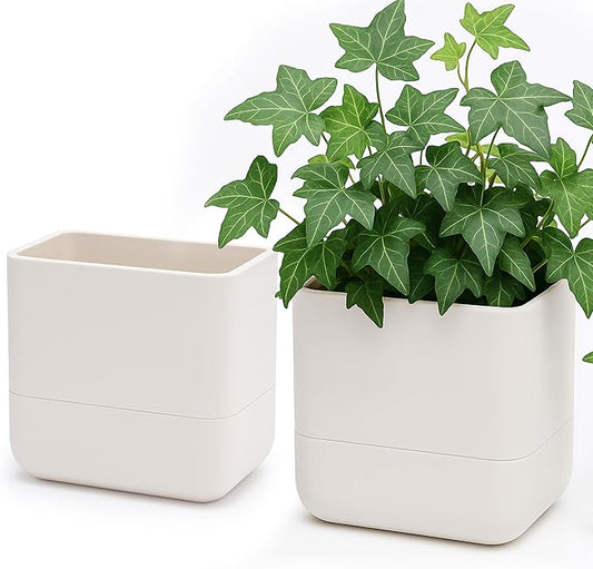 Phoenix Vine 6.5-Inch Wall Mounted Self-Watering Planter Pot for Indoor Houseplants and Herbs | Hanging Planter for Window Sills, Bathroom Walls, Home & Office Décor, Oatmeal, Set of 2, 01-WP-D-2