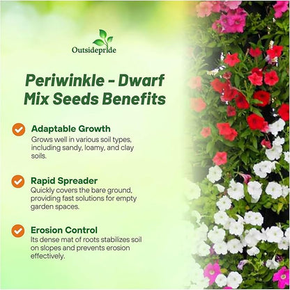Outsidepride Mix Periwinkle Seeds for Planting – 2000 Pcs Annual, Fast-Blooming, Heat & Drought Tolerant Vinca Flower Seeds with Vibrant Colors Ideal for Gardens, Beds, Borders & Containers