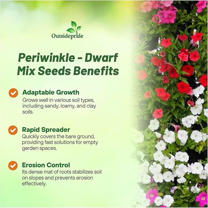 Outsidepride Mix Periwinkle Seeds for Planting – 4000 Pcs Annual, Fast-Blooming, Heat & Drought Tolerant Vinca Flower Seeds with Vibrant Colors Ideal for Gardens, Beds, Borders & Containers
