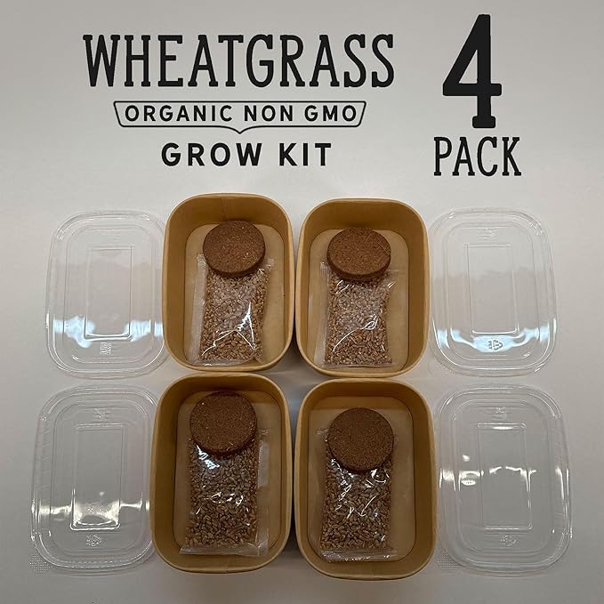 Organic Wheatgrass Cat Grass Premium Grow Kit 4 Pack | 100 % Wheatgrass Seeds Non‑GMO Seeds for Cats & Humans