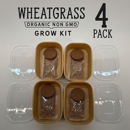 Organic Wheatgrass Cat Grass Premium Grow Kit 4 Pack | 100 % Wheatgrass Seeds Non‑GMO Seeds for Cats & Humans