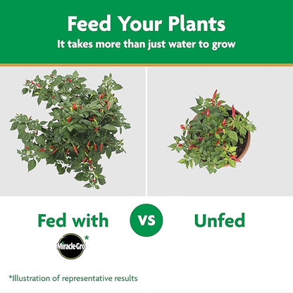 Miracle-Gro Water Soluble Plant Food Vegetables & Herbs 2 lbs., 2-Pack