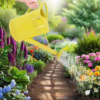 2 Gallon Metal Watering Can for Outdoor Indoor Garden Plants, Galvanized Watering Can for Flowers, Plants & Lawns (Yellow)