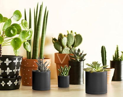 D'vine Dev Pack of 20 Plastic Plant Pots (4 Set of 2 Inch, 2.5 Inch, 3 Inch, 3.5 Inch, 4 Inch) Small Garden Planter Pots for Plant with Drainage Holes and Saucers, Black, 74-U-B