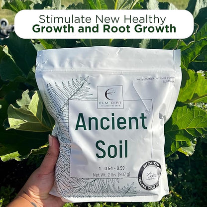 Elm Dirt Premium Ancient Soil for All Plants - Organic Plant Soil for Outdoor Plants & Indoor Plant Soil | Garden Soil for Plant Nutrients Growth & Protect your Plants Bugs - Roots Organic Soil (4lbs)