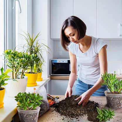 Succulent & Cactus Soil Potting Mix 1qt, Natural Organic Potting Mix for Cactus, Succulent, Palm, and Citrus Grown in Containers Indoors and Outdoors