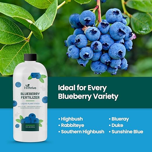 16oz Blueberry Fertilizer - Makes 16 Gallons of Fruit Tree Fertilizer for Blueberries, Liquid Plant Food for Sweet, Plump Blueberry Plants, Instant Plant Food That Promotes Growth & Abundant Harvests