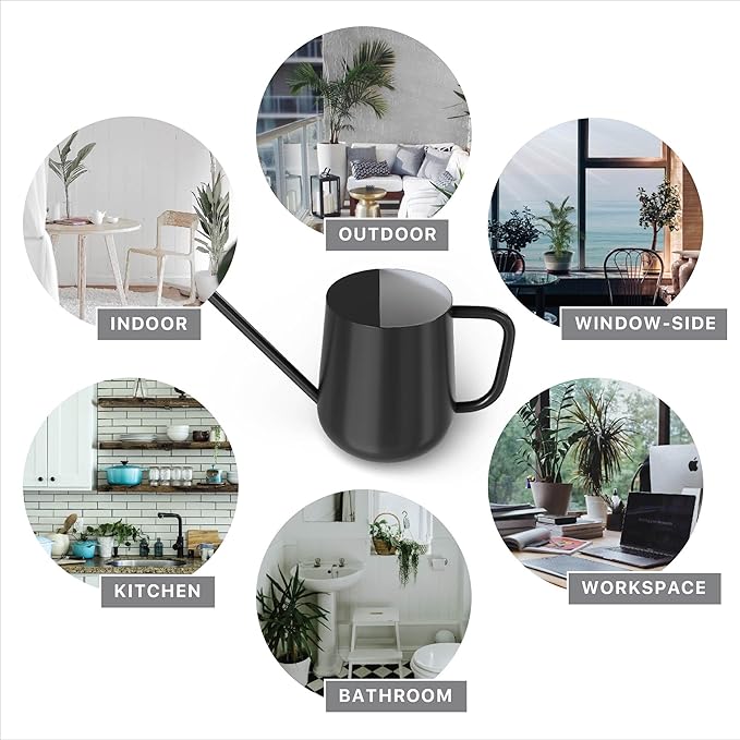 Metal Watering Can for Indoor Houseplants Outdoor Garden Long Sprout Water Can for Succulents Herb Bonsai Modern Garden Tool 33.8oz/1000ml (Dashing Black)