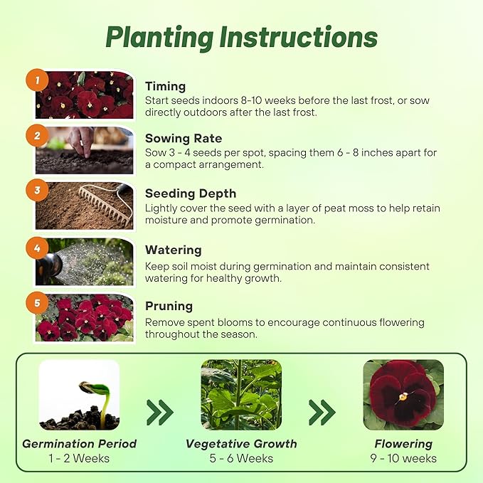 Outsidepride Big Red Viola Pansy Seeds for Planting - 50 Pcs. Biennial, Cold-Hardy & Pollinator Friendly Flowers with Fragrant Blooms for Garden Beds, Borders & Container Displays