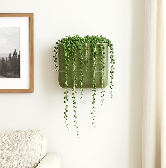 Phoenix Vine 6.5-Inch Wall Mounted Self-Watering Planter Pot for Indoor Houseplants and Herbs | Hanging Planter for Window Sills, Bathroom Walls, Home & Office Décor, Olive, Set of 1, 01-WP-C-1