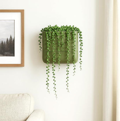 Phoenix Vine 6.5-Inch Wall Mounted Self-Watering Planter Pot for Indoor Houseplants and Herbs | Hanging Planter for Window Sills, Bathroom Walls, Home & Office Décor, Olive, Set of 1, 01-WP-C-1