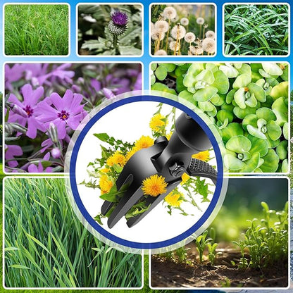 Weed Puller Tool - 63" Stand Up Weeder | 4-Claw Steel Head, 4 Adjustable Lengths | Heavy Duty Detachable Weeding Tool for Lawn/Yard/Garden | No Bending/Kneeling