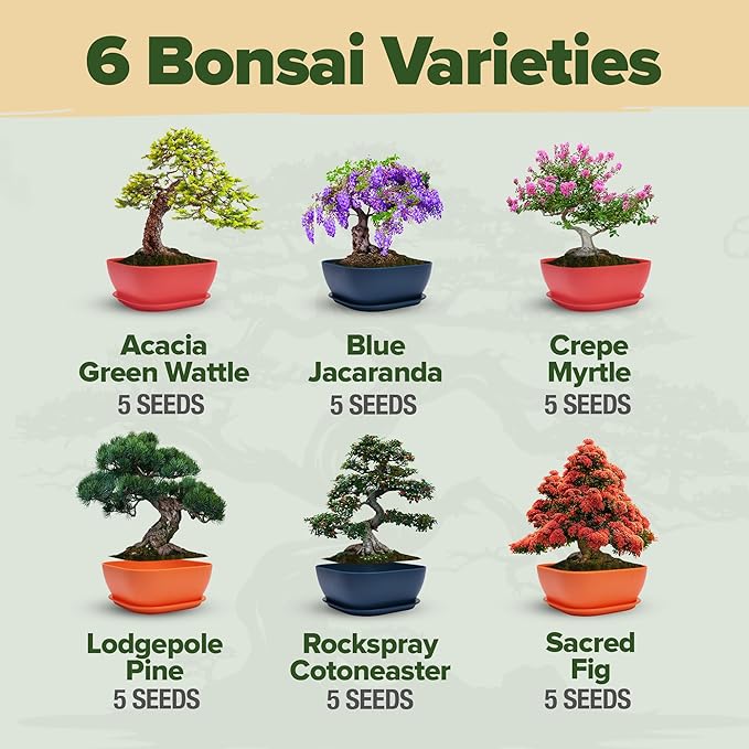 HOME GROWN Bonsai Tree Kit – 6 Heirloom Varieties with Unique Pots – DIY Bonsai Starter Kit for Adults & Beginners – Christmas Gift for Men Women Gardeners Plant Lovers – Indoor Growing Kit