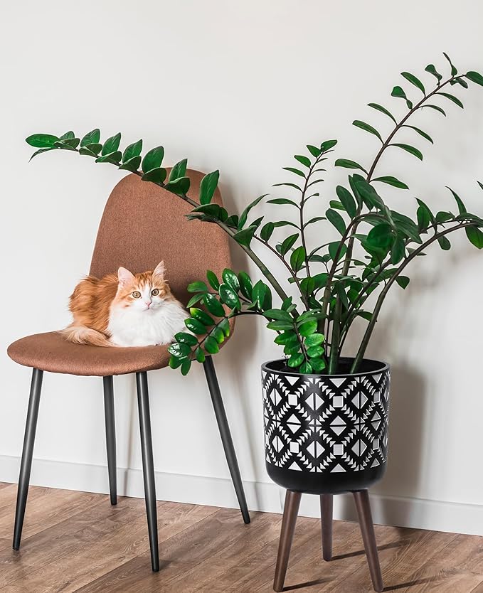 D'vine Dev 12 Inch Planter Pot with Stand, Mid-Century Tall Plant Pot with Legs for Indoor Plants, White/Black, 88-G-C-4