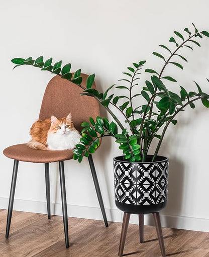 D'vine Dev 12 Inch Planter Pot with Stand, Mid-Century Tall Plant Pot with Legs for Indoor Plants, White/Black, 88-G-C-4