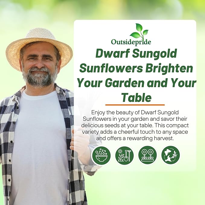 Outsidepride Dwarf Sungold Sunflower Seeds for Planting - 1/4 Lb. Annual, Easy to Grow Flower Seeds w/Vibrant, Abundant Blooms for Cut Flower Arrangements & Pollinator & Vegetable Gardens