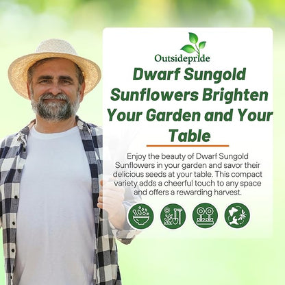 Outsidepride Dwarf Sungold Sunflower Seeds for Planting - 1/4 Lb. Annual, Easy to Grow Flower Seeds w/Vibrant, Abundant Blooms for Cut Flower Arrangements & Pollinator & Vegetable Gardens