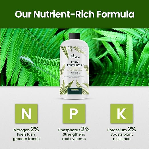 32oz Fern Fertilizer - Makes 64 Gallons of Fertilizer for Ferns, Nutrient-Rich Indoor Plant Food for Greener Growth and Dense, Resilient Fronds with Intricate Texture - Ideal for All Fern Plant Live