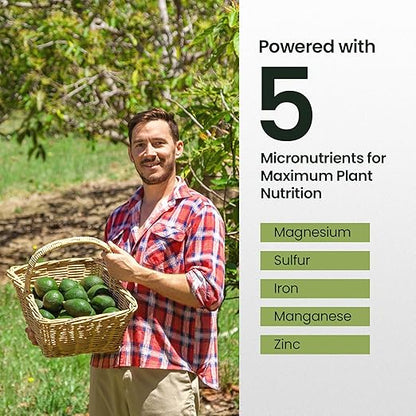 32oz Fruit Tree Fertilizer for Avocados - Makes 64 Gallons, Premium Water-Soluble Plant Food, Rich With Micronutrients for Consistent Lush Growth & Abundant Harvest