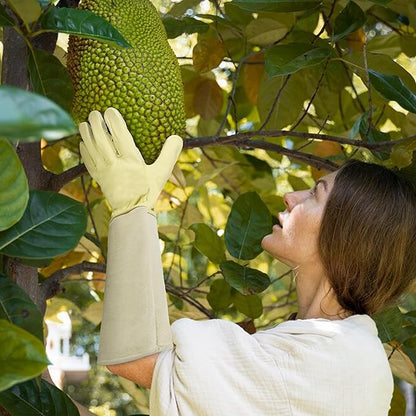 HLDD HANDLANDY Long Gardening Gloves, Leather Thorn Proof Rose Pruning Glove for Men & Women, Great Gift for Gardener