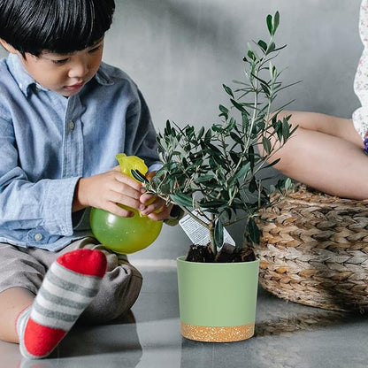 QCQHDU 5 inch Plant Pot, 2 Pack Planters for Indoor Plants with Drainage Holes & Saucer, Outdoor Flower Pots Home Garden Modern Decor