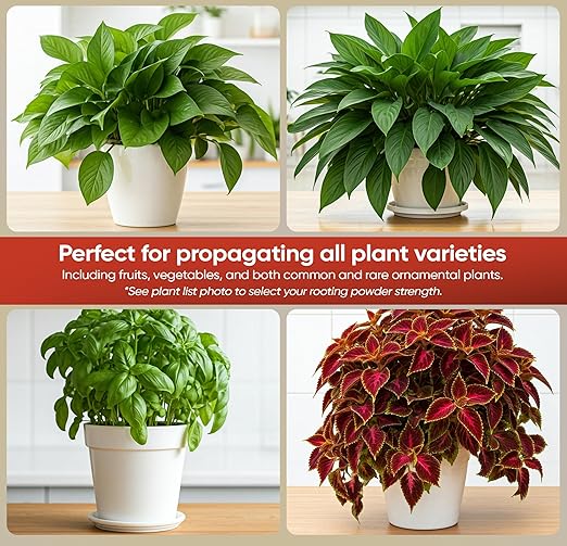 Hormex Rooting Powder #1 (0.10 IBA)- Rooting Hormone for Delicate Houseplants, Garden Herbs & Succulent Cuttings - Root Stimulator for Plant Cloning - Strong Growth for Maximum Propagation Success,1LB