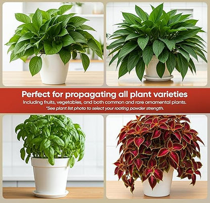 Hormex Rooting Powder #1 (0.10 IBA)- Rooting Hormone for Delicate Houseplants, Garden Herbs & Succulent Cuttings - Root Stimulator for Plant Cloning - Strong Growth for Maximum Propagation Success,1LB