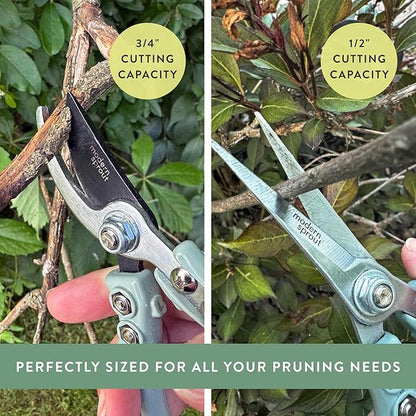Modern Sprout Hand Pruners & Shears Set - Lightweight Gardening Tools W/Easy Lock - Sharp Carbon Steel Blades -Rust Resistant Scissors for Herbs, Flowers - Reusable Holster - Chartreuse