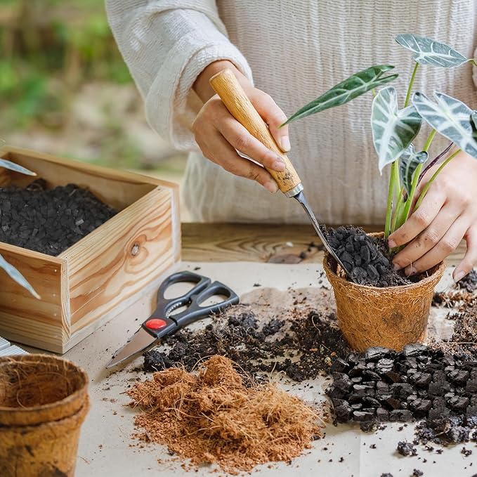 Horticultural Charcoal 2qt for Plants, Actived Charcoal Terrarium Supplies, Suitable for Indoor Plants, Succulent, Orchid, Cactus, Bonsai