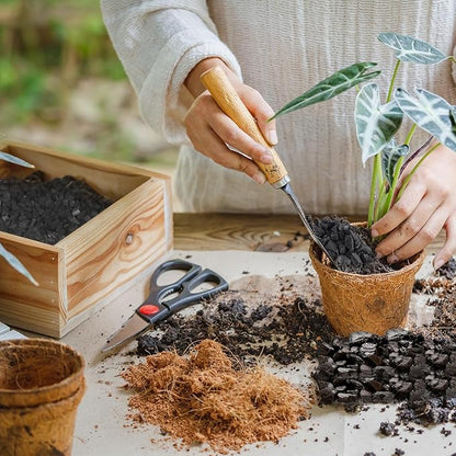 Horticultural Charcoal 1qt for Plants, Actived Charcoal Terrarium Supplies, Suitable for Indoor Plants, Succulent, Orchid, Cactus, Bonsai