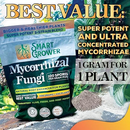 Mycorrhizal Fungi Organic Root Enhancer for Plants, Super Potent 100 Spores Per Gram, 5-Strain Blend, Rapid Results for Gardens, Houseplants, Lawns, Mycorrhizae Smart Grower 250 Grams for 250 Plants
