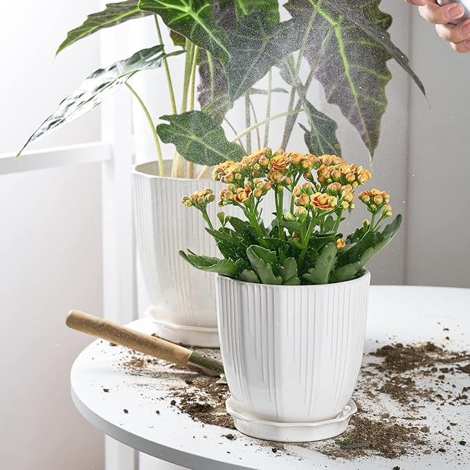 ADN Ceramic Planter, 6 Inch Plant Pots for Plants Modern Decor Indoor Flower Pot with Saucer and Drainage Hole, White